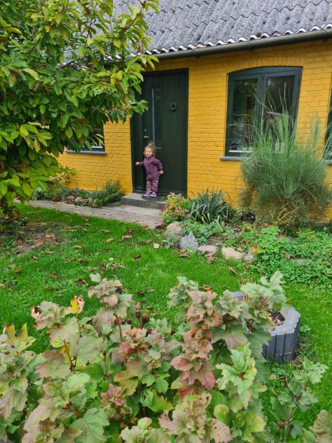Inspiration Center Denmark, Bed & Breakfast マリボ エクステリア 写真